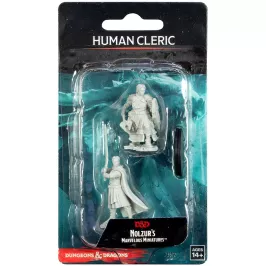 D&D Nolzur's Marvelous Miniatures: Human Cleric (мужчина) картинка 347340 - МосИгра